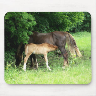 Foal Mousepad Muismat