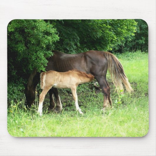Foal Mousepad Muismat (Voorkant)