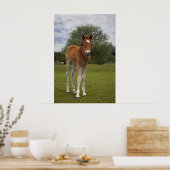 Foal print (Keuken)