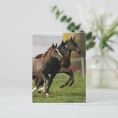 Foal Running Briefkaart (Staand voorkant)