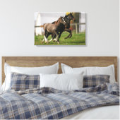 Foal Running Canvas Afdruk (Insitu (Slaapkamer))