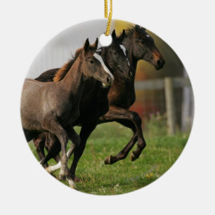 Foal Running Keramisch Ornament