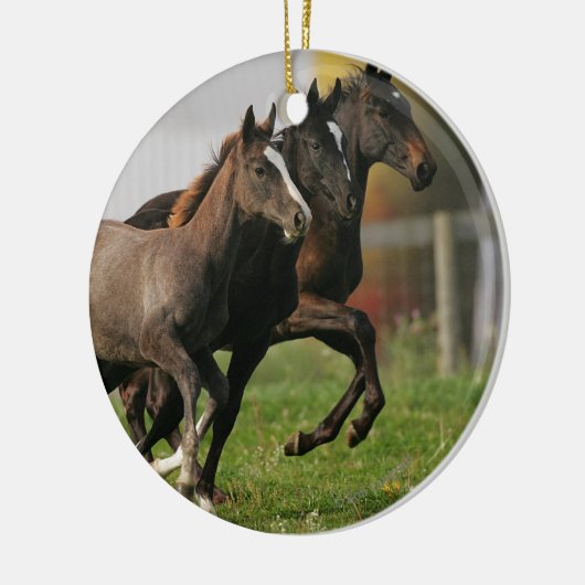 Foal Running Keramisch Ornament (Links)