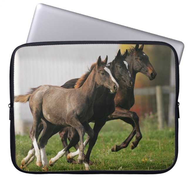 Foal Running Laptop Sleeve (Voorkant)