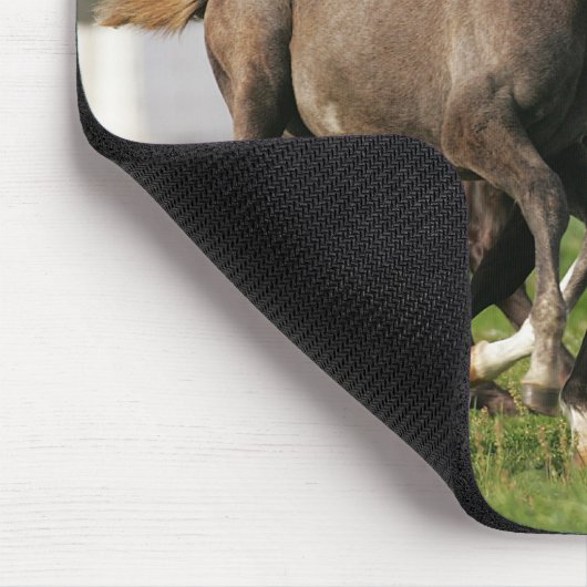 Foal Running Muismat (Hoek)