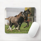 Foal Running Muismat (Met muis)