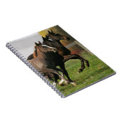 Foal Running Notitieboek (Rechterzijde)