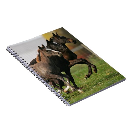 Foal Running Notitieboek (Rechterzijde)