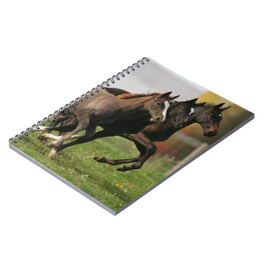 Foal Running Notitieboek (Linkerzijde)
