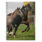 Foal Running Notitieboek (Voorkant)