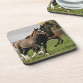 Foal Running Onderzetter (Linkerzijde)