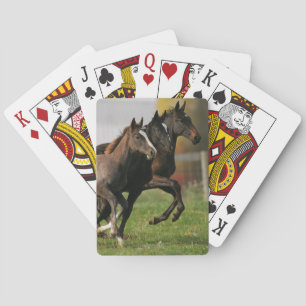 Foal Running Pokerkaarten