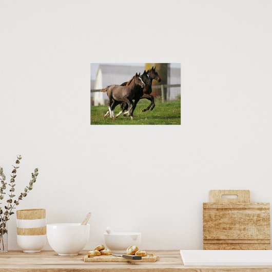 Foal Running Poster (Keuken)