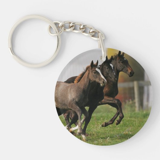 Foal Running Sleutelhanger (Voorkant)