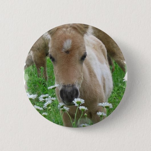 Foal Smelling Daisies Round Button (Voorkant)