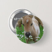 Foal Smelling Daisies Round Button (Voorkant /achterkant)