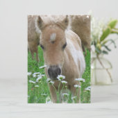 Foal Smelling Flowers Invitation Kaart (Staand voorkant)