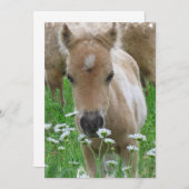Foal Smelling Flowers Invitation Kaart (Voorkant / Achterkant)