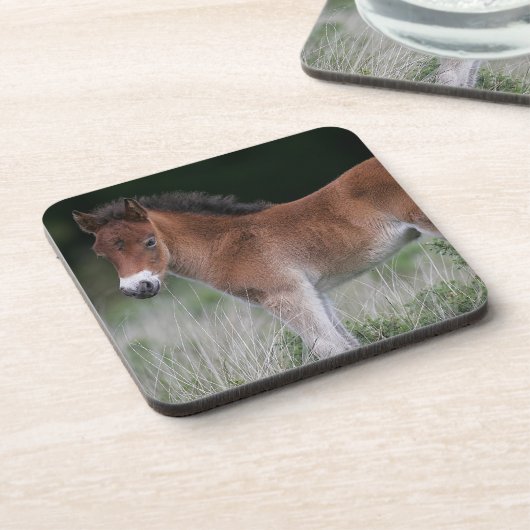 Foal Standing Bier Onderzetter (Linkerzijde)