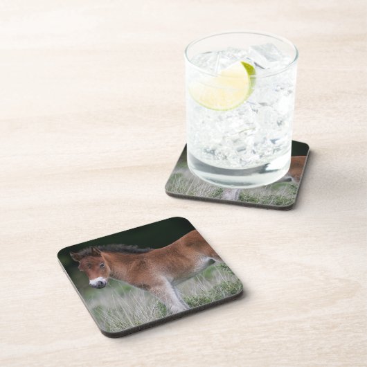 Foal Standing Bier Onderzetter (Rechterzijde)