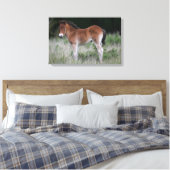 Foal Standing Canvas Afdruk (Insitu (Slaapkamer))
