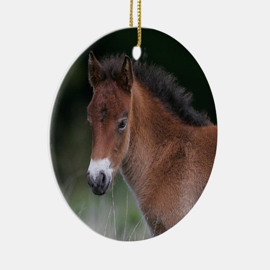 Foal Standing Keramisch Ornament (Rechts)