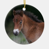 Foal Standing Keramisch Ornament (Voorkant)