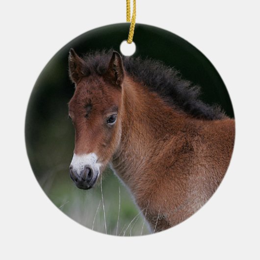 Foal Standing Keramisch Ornament (Voorkant)