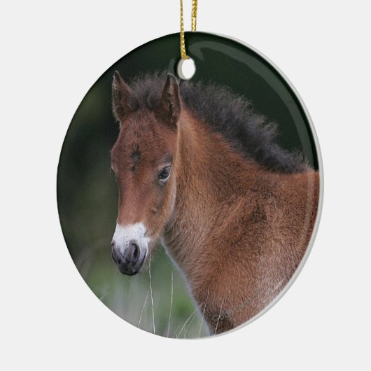 Foal Standing Keramisch Ornament (Links)