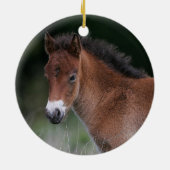 Foal Standing Keramisch Ornament (Achterkant)