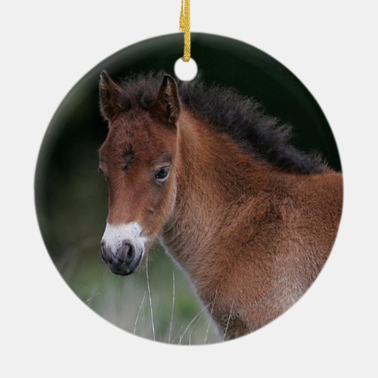 Foal Standing Keramisch Ornament (Achterkant)