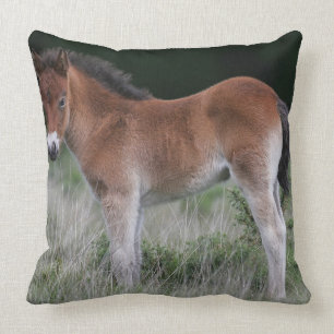 Foal Standing Kussen