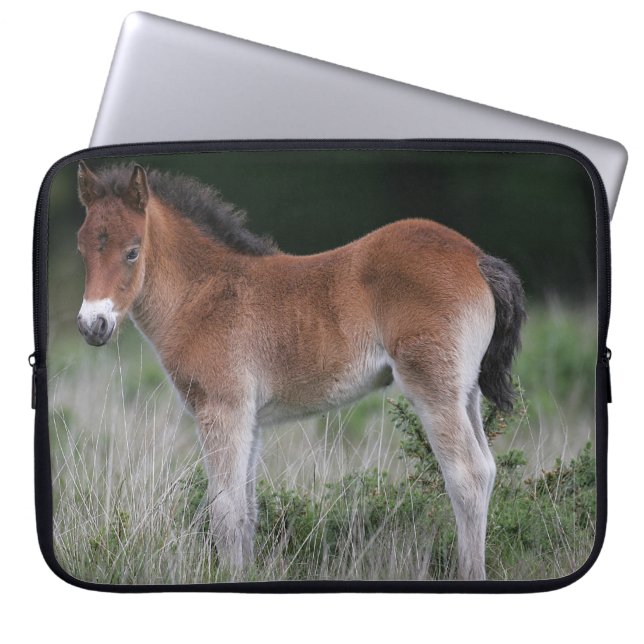 Foal Standing Laptop Sleeve (Voorkant)