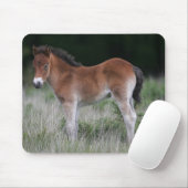 Foal Standing Muismat (Met muis)