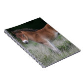 Foal Standing Notitieboek (Rechterzijde)