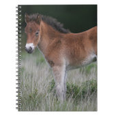 Foal Standing Notitieboek (Voorkant)