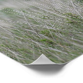 Foal Standing Poster (Hoek)