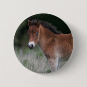 Foal Standing Ronde Button 5,7 Cm (Voorkant)