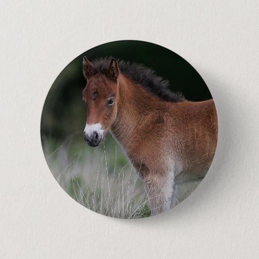 Foal Standing Ronde Button 5,7 Cm (Voorkant)