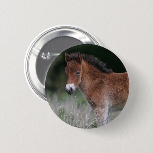 Foal Standing Ronde Button 5,7 Cm (Voorkant /achterkant)