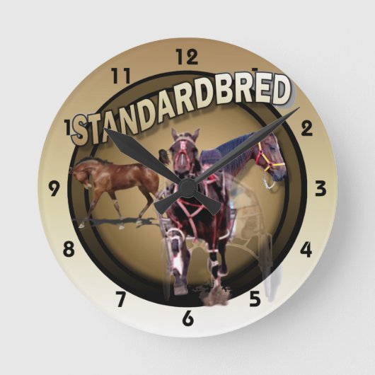 Foal to Racing Ronde Klok (Voorkant)
