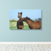 Foalen afspelen 2 canvas afdruk (Insitu (Houten vloer))