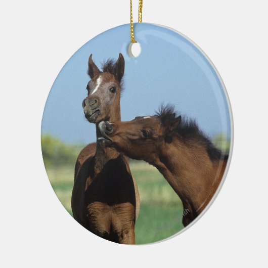 Foalen afspelen 2 keramisch ornament (Links)