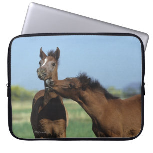 Foalen afspelen 2 laptop sleeve