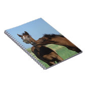 Foalen afspelen 2 notitieboek (Rechterzijde)