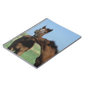 Foalen afspelen 2 notitieboek (Linkerzijde)