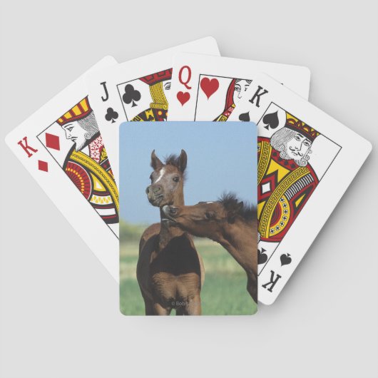 Foalen afspelen 2 pokerkaarten (Achterkant)