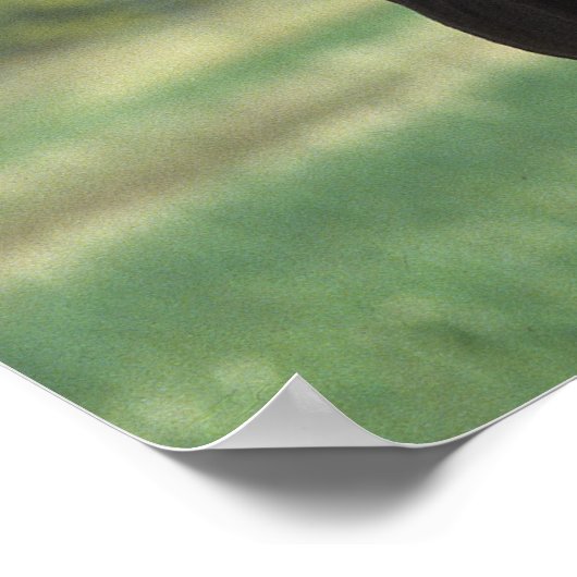 Foalen afspelen 2 poster (Hoek)