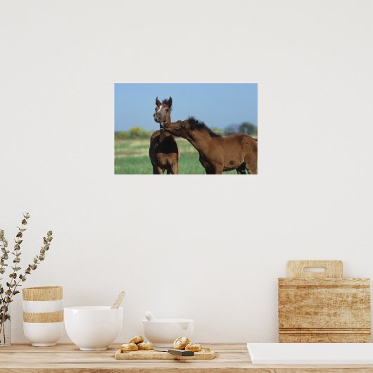 Foalen afspelen 2 poster (Keuken)