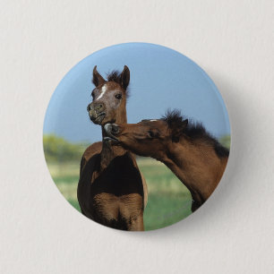 Foalen afspelen 2 ronde button 5,7 cm